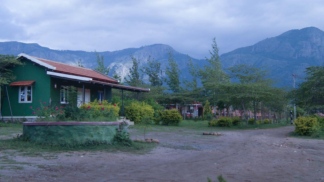 Hotel Mountain View Masinagudi Zewnętrze zdjęcie