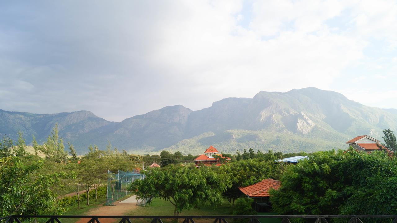 Hotel Mountain View Masinagudi Zewnętrze zdjęcie